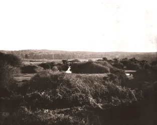 The New Forest, Hampshire, 1894.