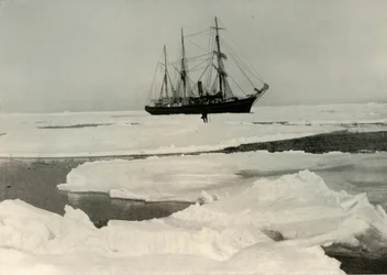 The Nimrod Pushing Her Way Through More Open Pack, c1908, 1909
