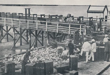The Pearl Fishing Industry - Packing Shell, 1923.