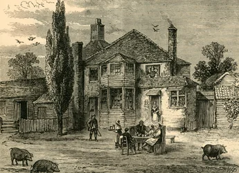 Drottningens huvud och kronärtskocka., c1876.