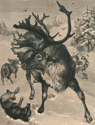 Renen, c1800-talet