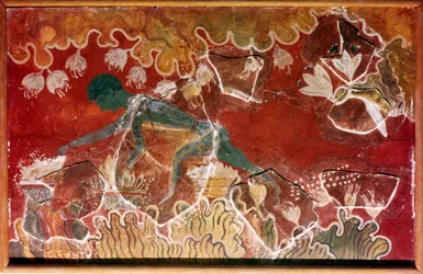 Saffran-samlarfresken från det minoiska kungliga palatset, Knossos, Kreta. c1400-talet f.Kr