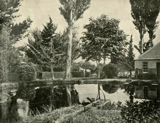 Laxdammarna, New Norfolk, 1901.