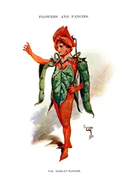 The Scarlet Runner, 1899
