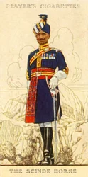 Scindehästen, 1936.