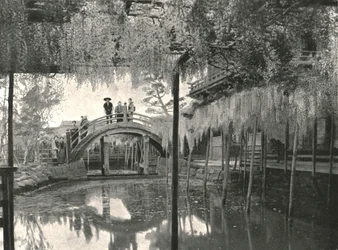 Te New Ginoike Pon d Plan d Wisteria, Kameido, Toi, Japan, 1895.