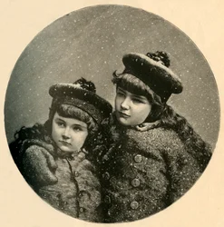 Snöfåglarnas julgran, 1883.