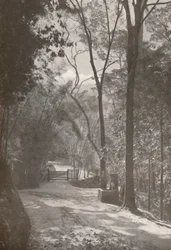 The Spirit of Tijuca, 1914