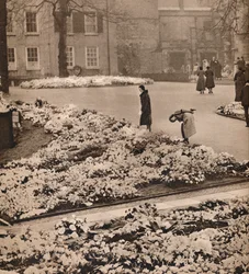 The State Funeral of King George V at Windsor: minneskransar, 1936