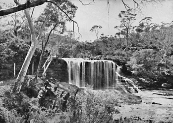 The Weeping Rock vid Wentworth Falls, Blue Mountains, c1900.