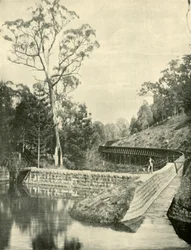 The Weir and Fluming, Kirks Reservoir, 1901.