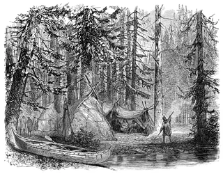 Skogen före emigranten, 1900