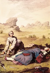 Louisianas öken. Illustration