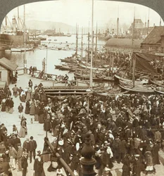 Hamnen, N.W. från marknadsplatsen i Bergen, Norges största fiskmarknad, c1905.