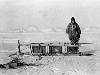 Den sista släden från vandringen tillbaka från Great Southern Journey, 1909