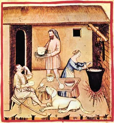 Framställning av ost. En miniatyr från Tacuinum Sanitatis, andra halvan av 1300-talet.