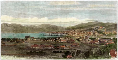 Staden och hamnen i Wellington, Nya Zeelands huvudstad, c1880