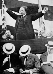 Theodore Roosevelt, amerikansk president, 1901-1909