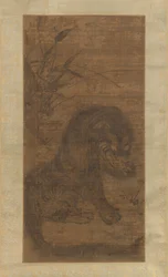 Tiger, 1300-talet.