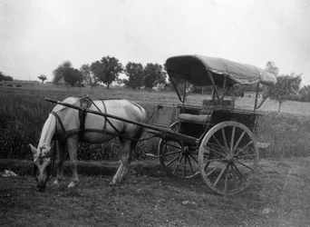 Tonga horse cart, Muttra, India, 1917
