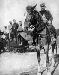 Transport i skogen av Argonne, Frankrike, 1915