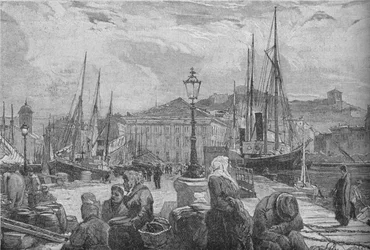 Triestes hamn, 1902