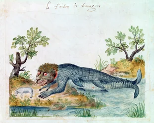 Triton, 1500-talet