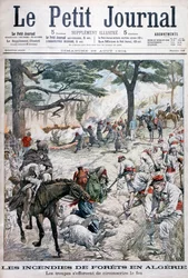 Trupper som försöker begränsa en skogsbrand, Algeriet, 1904