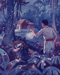 Tropiska eldflugor som dansande ljuspunkter, 1935