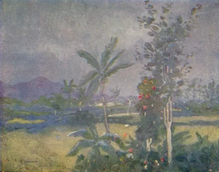Tropiska regn i Västindien, 1924