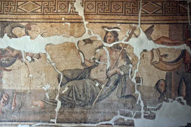 Turkiet, Thetis bland fiskmosaiken, från Iskenderum, Turkiet