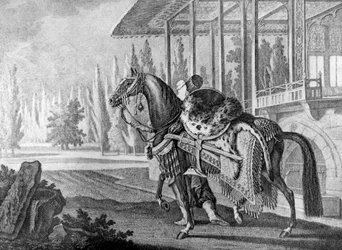 Turkiska Pashas Arabian hack, 1722 1938