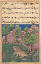 Tuti-Nama Tales of a Papegoja: Tale XXVIII: The Monkey Advises the Suspicious Lion..., c. 1560.