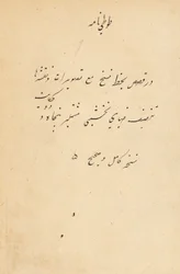 Tuti-Nama Tales of a Papegoja, ca. 1560.