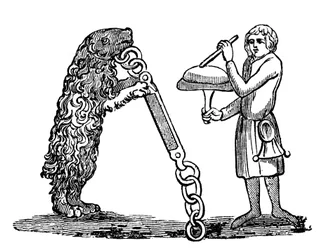 Undervisningsbjörn, 1300-talet, 1833