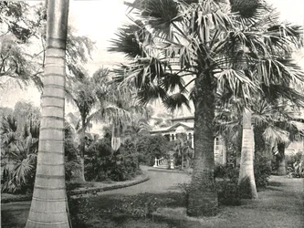 Typisk hawaiiansk gård, Honolulu, USA, 1895.