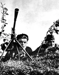 Ukrainsk tjänstgöring i den tyska armén, Ryska fronten, 1941-1944