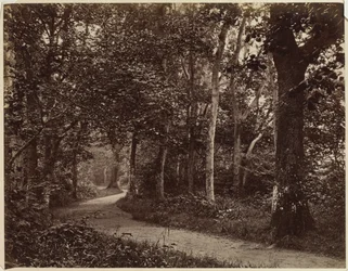 Utan titel Landskap, tidigt 1860-tal.