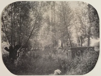 Untitled Landscape with Dog, c. 1910.