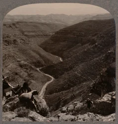 Arnodalen, herde och får i förgrunden, c1900