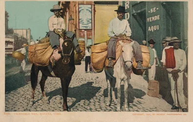 Grönsaksmän, Havanna, Kuba, 1904
