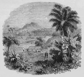Utsikt i Cayenne, c1880