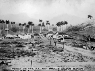 Utsikt över Palma, 1896, 1920-talet