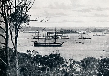 Utsikt över Sydneys hamn från North Shore, nr 1, c1900.