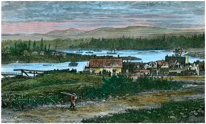 Vy över de västra förorterna till Victoria, Vancouver Island, British Columbia, Kanada, c1880