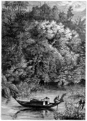 Utsikt över floden Dodinga, Nya Guinea, 1877