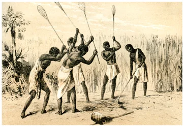Bysmeder, 1883