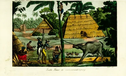 Byscen nära Kupang, Timor