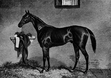 Voltigeur, 1847-1874, 1911