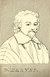 W. Harvey, 1578-1657, 1830.